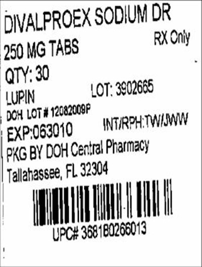 Label Image For 250mg (Divalproex 250mg(lupin))